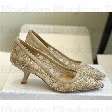 Dior Tribales Pump in beige mesh with crystal heel 6cm 2025