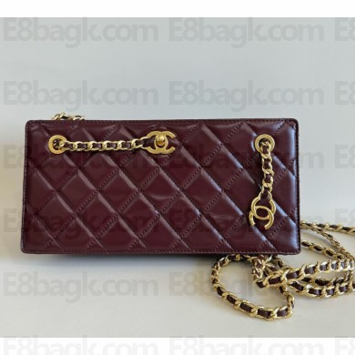Chanel Clutch Shiny Lambskin & Gold-Tone Metal  AS5203 Dark Brown 2025 