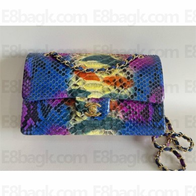 Chanel Python Medium Classic flap bag 1112 34 2024