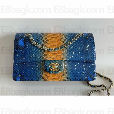 Chanel Python Medium Classic flap bag 1112 25 2024