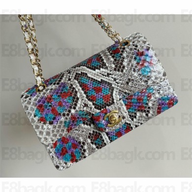 Chanel Python Medium Classic flap bag 1112 26 2024