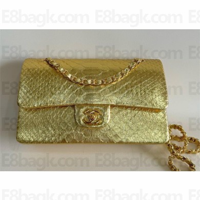 Chanel Python Medium Classic flap bag 1112 27 2024