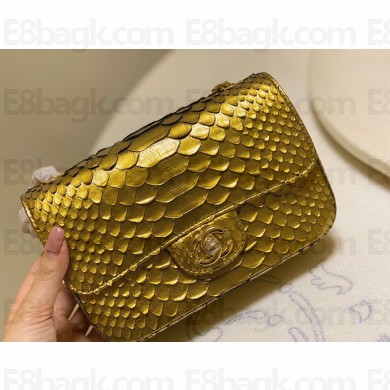 Chanel Python Classic Flap Small Bag A1116 01 2021
