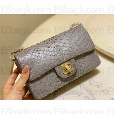 Chanel Python Classic Flap Small Bag A1116 03 2021