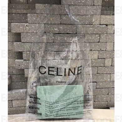 Celine Clutch Pouch Bag Light Green and PVC Transparent Plastic Shopping Bag