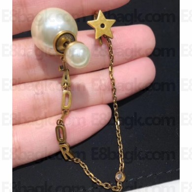 Dior Earrings 100 2019