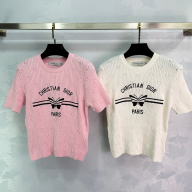 Dior knitted t-shirt 2025