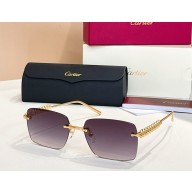 Cartier Sunglasses CT0545S-06 2025