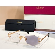 Cartier Sunglasses CT0582S-01 2025