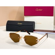 Cartier Sunglasses CT0582S-07 2025