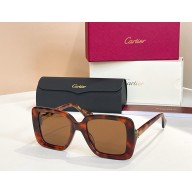 Cartier Sunglasses CT0315-02 2025