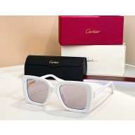 Cartier Sunglasses CT0315-03 2025