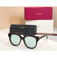 Cartier Sunglasses CT0316-06 2025