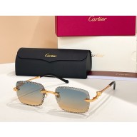 Cartier Sunglasses CT0695S 03 2025