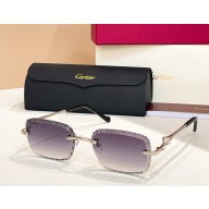 Cartier Sunglasses CT0695S 05 2025