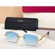 Cartier Sunglasses CT0695S 06 2025