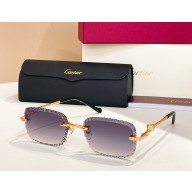 Cartier Sunglasses CT0695S 07 2025