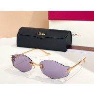 Cartier Sunglasses CT0684S 01 2025