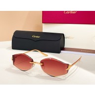 Cartier Sunglasses CT0684S 06 2025