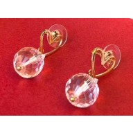 Celine Earrings C46