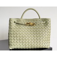Bottega Veneta Intrecciato leather Medium Andiamo top handle Bag Light Green