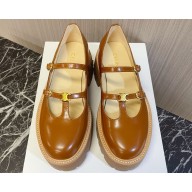 Celine lambskin Platform loafers with Arc de Triomphe logo brown 2025