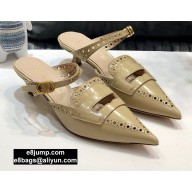 Dior Heel 4cm Boy-D Mules in Perforated Gradient Calfskin Beige 2020