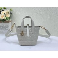 Dior Toujours Vertical Nano Tote Bag in WHITE Macrocannage Calfskin 2025