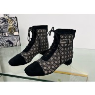 Dior Naughtily-D heeled ankle boot Transparent Mesh Embroidered with Black Cannage Motif and Suede Goatskin heel 3.5cm 2024