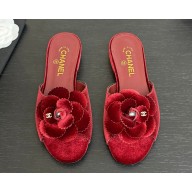 Chanel flat Camellia suede slipper red 2025