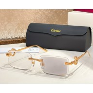 Cartier Sunglasses CT0653S-01 2025