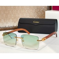 Cartier Sunglasses CT0012-02 2025