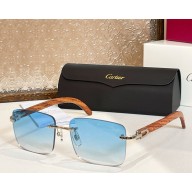 Cartier Sunglasses CT0012-06 2025
