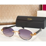 Cartier Sunglasses CT0615S-04 2025