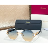 Cartier Sunglasses CT0558S-03 2025