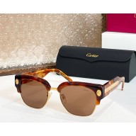 Cartier Sunglasses CT5912-02 2025