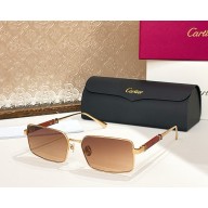 Cartier Sunglasses CT0508S-01 2025