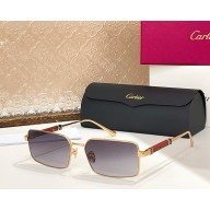Cartier Sunglasses CT0508S-06 2025