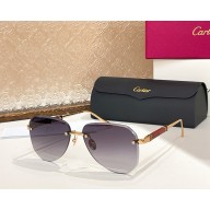 Cartier Sunglasses CT0509S-03 2025