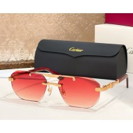 Cartier Sunglasses CT0616S-01 2025