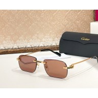 Cartier Sunglasses CT0498S-04 2025