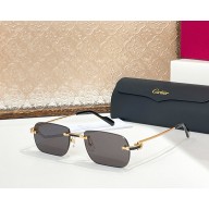 Cartier Sunglasses CT0498S-06 2025