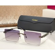 Cartier Sunglasses CT0629S-01 2025