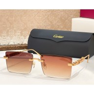 Cartier Sunglasses CT0629S-06 2025