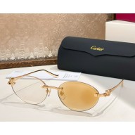 Cartier Sunglasses CT0504S-01 2025