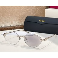 Cartier Sunglasses CT0504S-02 2025