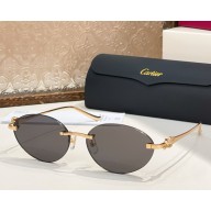 Cartier Sunglasses CT0504S-03 2025