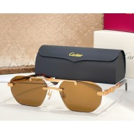 Cartier Sunglasses CT0616S-03 2025