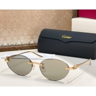Cartier Sunglasses CT0504S-04 2025