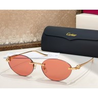 Cartier Sunglasses CT0504S-05 2025